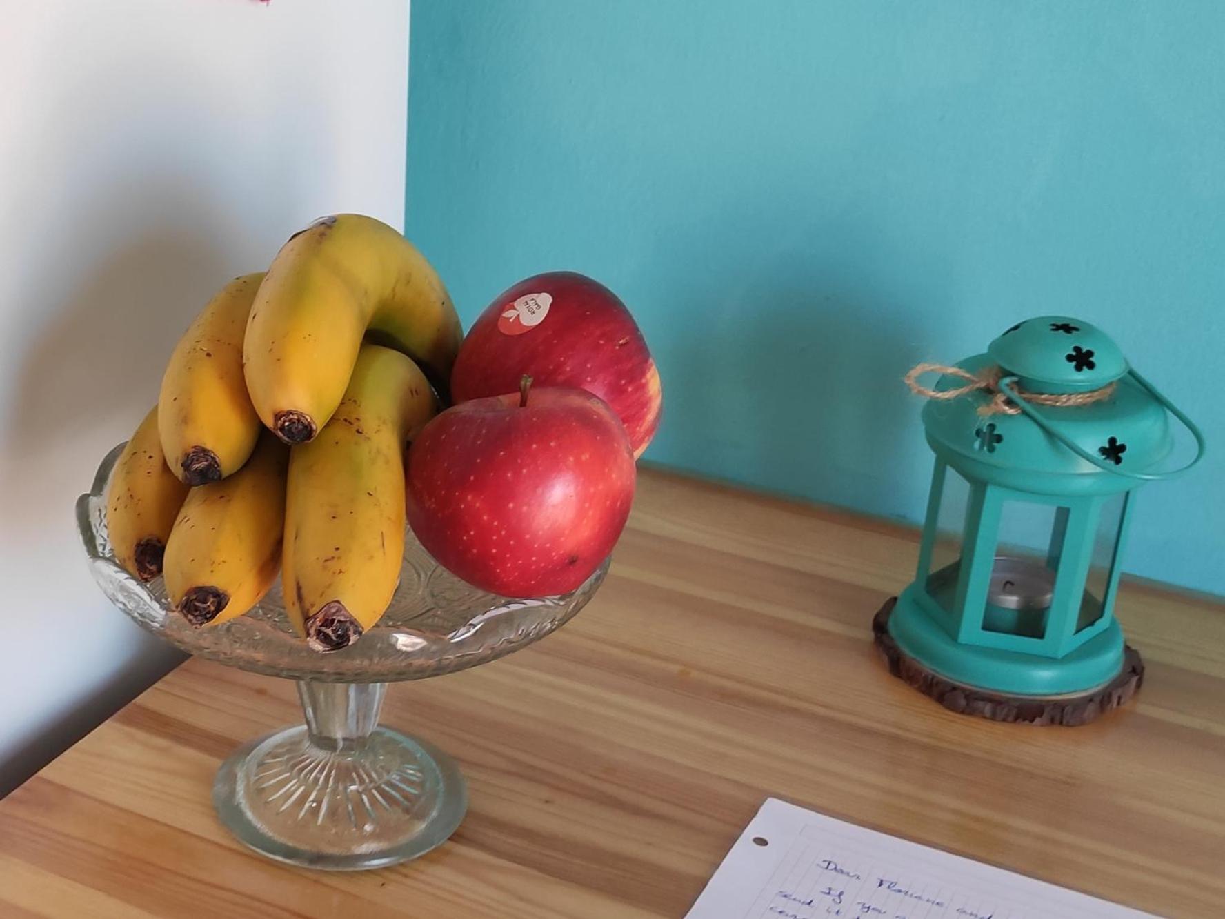 La GuanchaLa Casita Del Senderoアパートメント 部屋 写真